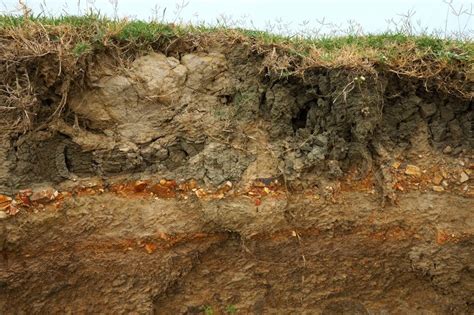 Cut of soil with different layers at ... | Stock image ...
