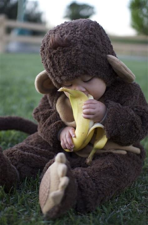 cute baby monkey eating a banana   Dump A Day