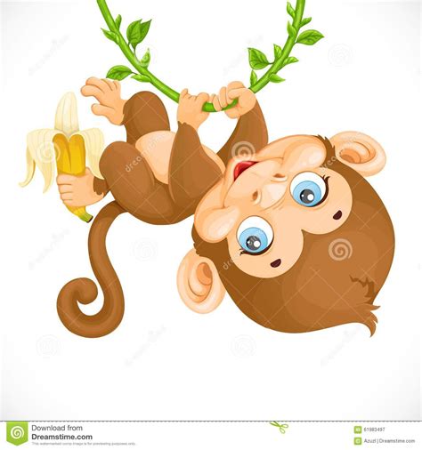 Cute Baby Monkey With Banana Hanging On The Vine Stock ...