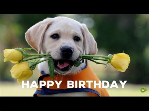 Cute Birthday Messages to Make Their Day Special   YouTube