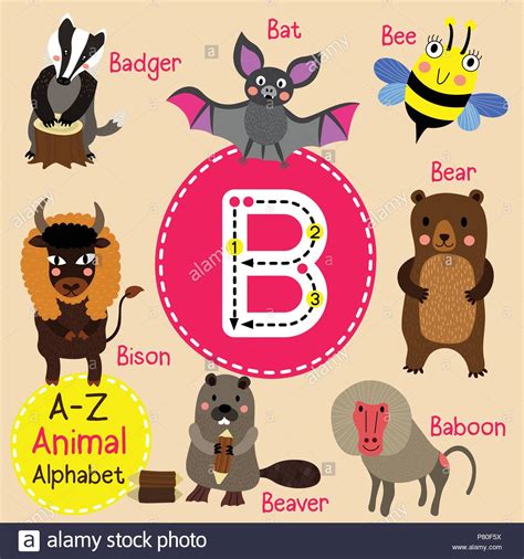 Cute children zoo alphabet B letter tracing of funny ...