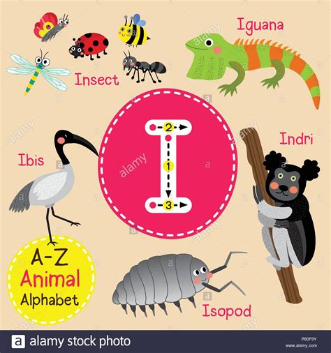 Cute children zoo alphabet I letter tracing of funny ...