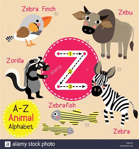 Cute children zoo alphabet Z letter tracing of funny ...