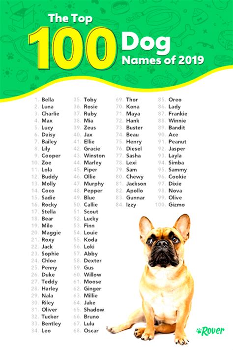 Cute #Cute | Dog names, Top dog names, Cute names for dogs