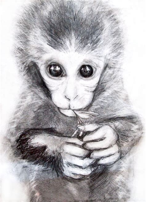 cute little monkey by Hypholia on DeviantArt