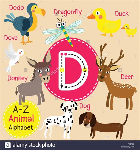 Cute Zoo für Kinder alphabet D schreiben Tracing von funny ...