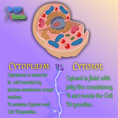 #cytosol tagged Tweets and Downloader | Twipu