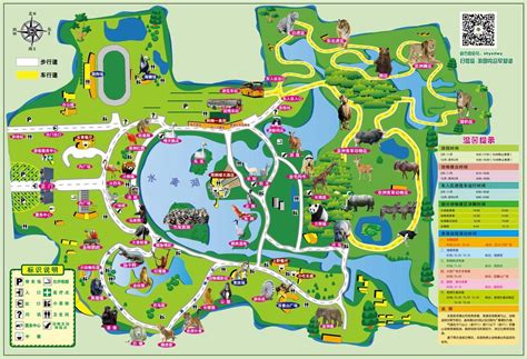 Dallas zoo map and travel information | Download free ...