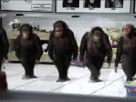 Dance, Monkey dance Hardstyle YouTube