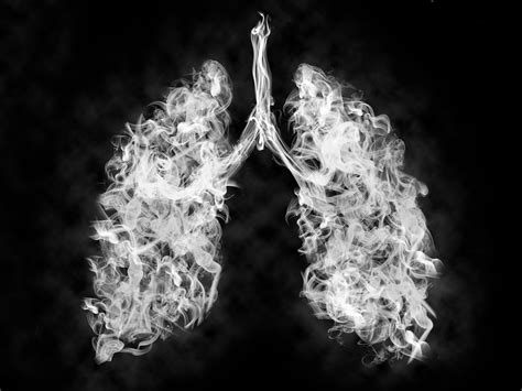 Daños del tabaco a la salud más allá de los pulmones ...