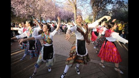 Danza para el Día de Andalucía en el Palacio de Orive   YouTube