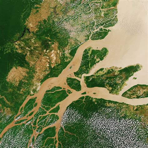 Datei:Amazon River ESA387332.jpg – Wikipedia
