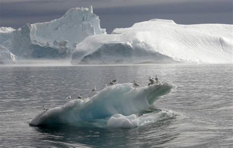 Dato curioso #15: El 97% del hielo en Groenlandia se ...