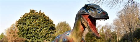 Datos curiosos sobre los dinosaurios | Blog Xochitla
