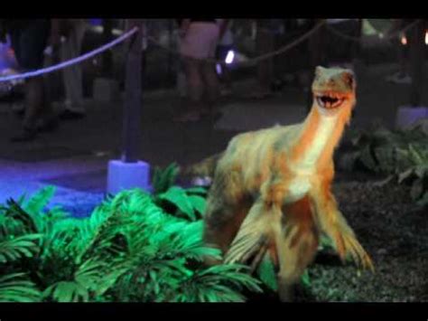 Days Of The Dinosaur Exhibit   Velociraptors   YouTube