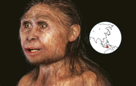 ¿De dónde venimos?: los nuevos parientes del  homo sapiens