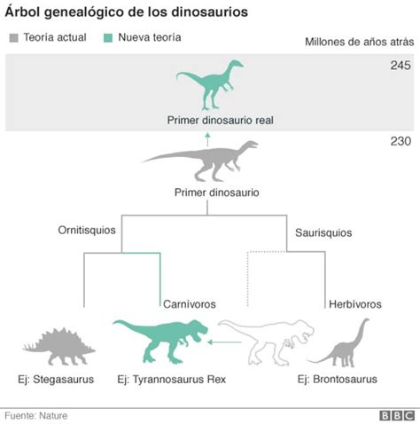 ¿De dónde vienen realmente los dinosaurios? El inesperado ...
