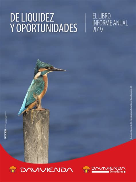De Liquidez Y Oportunidades: El Libro Informe Anual 2019 ...