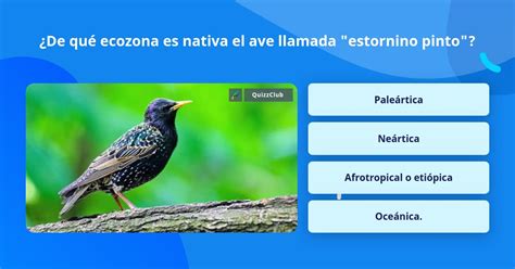 ¿De qué ecozona es nativa el ave... | La respuesta de Trivia