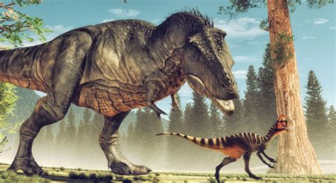 ¿De qué le servían al Tiranosaurio Rex sus diminutos brazos? | History ...