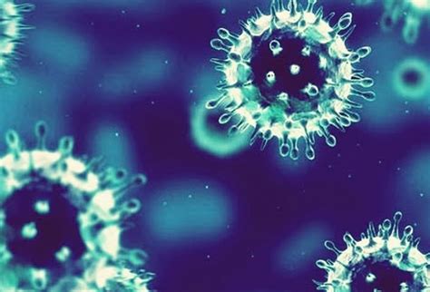 ¿De qué se trata el coronavirus bovino? | Contexto Ganadero