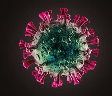 De Vedia:  El desafío es que el coronavirus no circule por ...