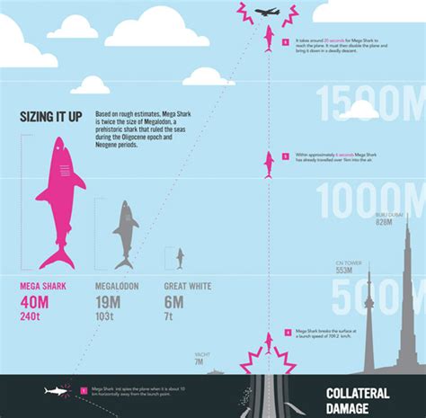 ¿De verdad puede un tiburón gigante atrapar un avión ...