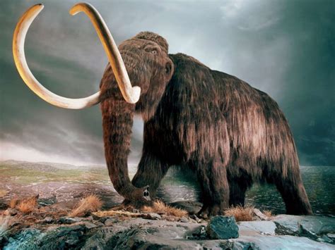 De vuelta de la Prehistoria: resucitar animales extintos