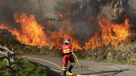 Declarada la alerta por incendios forestales en Gran ...