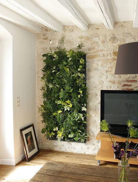 Decoracion Con Plantas En Pared   9 Ideas Para Decorar Las Paredes Sin ...