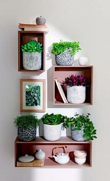 Decoracion con plantas para interiores feng shui