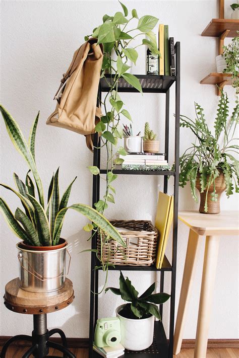 Decoracion De Cuartos Con Plantas : Dormitorios con ...