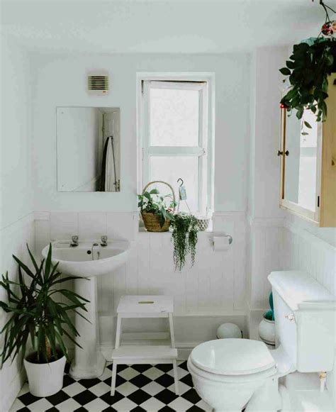 Decorar baños con plantas que son fáciles de mantener