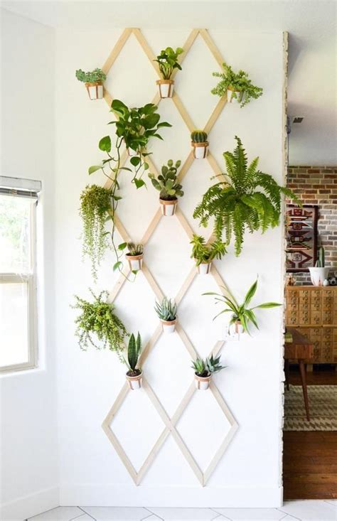 Decorar con plantas ideas y consejos que pueden aprovechar