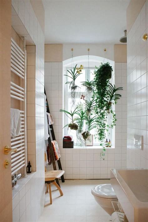 Decorar nuestro baño con plantas  con imágenes  | Decorar baños pequeños