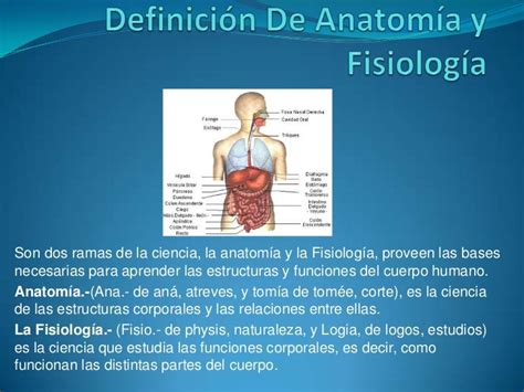 Definición de Anatomía y Fisiología