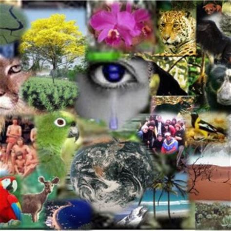 Definición de Biodiversidad   Qué es y Concepto