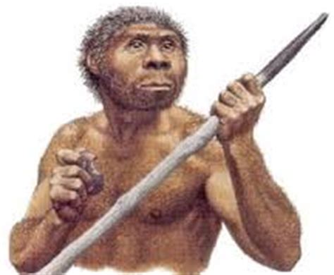 Definición de Homo erectus » Concepto en Definición ABC