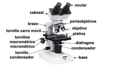 Definicion de microscopio optico [ 2021 ]