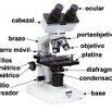 Definicion de microscopio optico [ 2021 ]