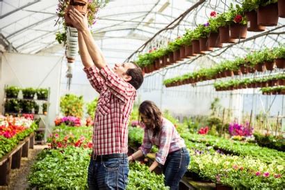 Definición de Vivero » Concepto en Definición ABC