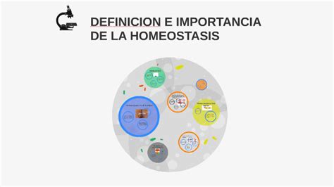 DEFINICION E IMPORTANCIA DE LA HOMEOSTASIS by jose manuel ...