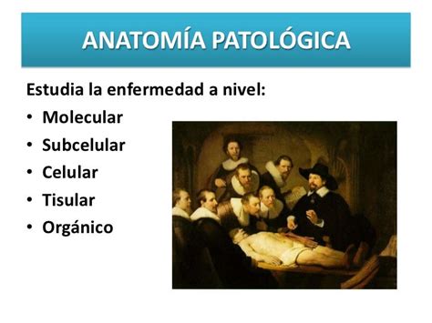 Definición y evolcion de la patologia