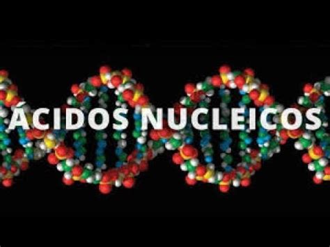 Definición y origen de Ácidos nucleicos, de la web definicion.de ...