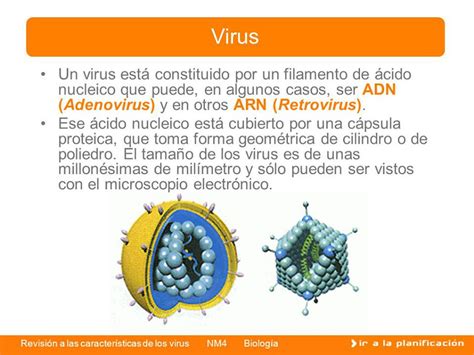 Definicion y Tipos de Virus Humano