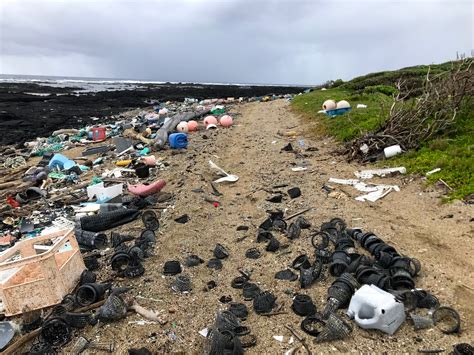 Degrading plastics revealed as source of greenhouse gases ...