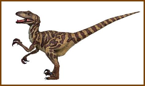 Deinonychus : Dinosaurios del mundo