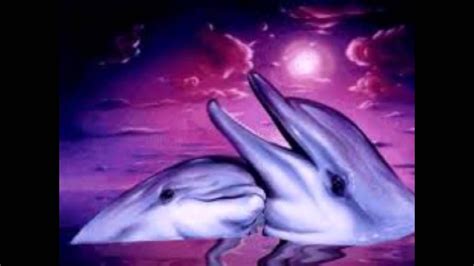 Delfines de amor   YouTube
