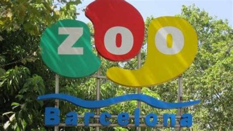Denuncian al Zoo de Barcelona por matar animales sanos ...