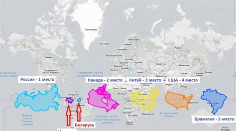 Dependiente bomba haz mapa del mundo correcto participar Contratar germen